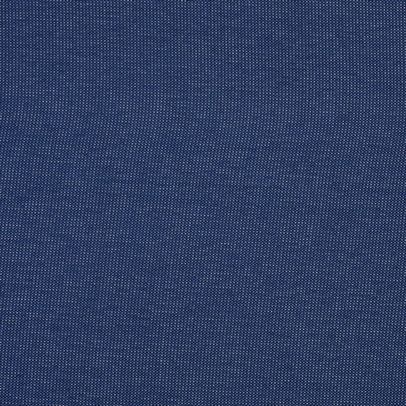 Fabric Swatch